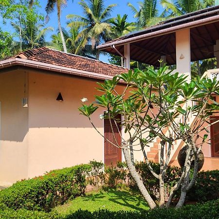 King Coconut Lodge Habaraduwa Central Εξωτερικό φωτογραφία
