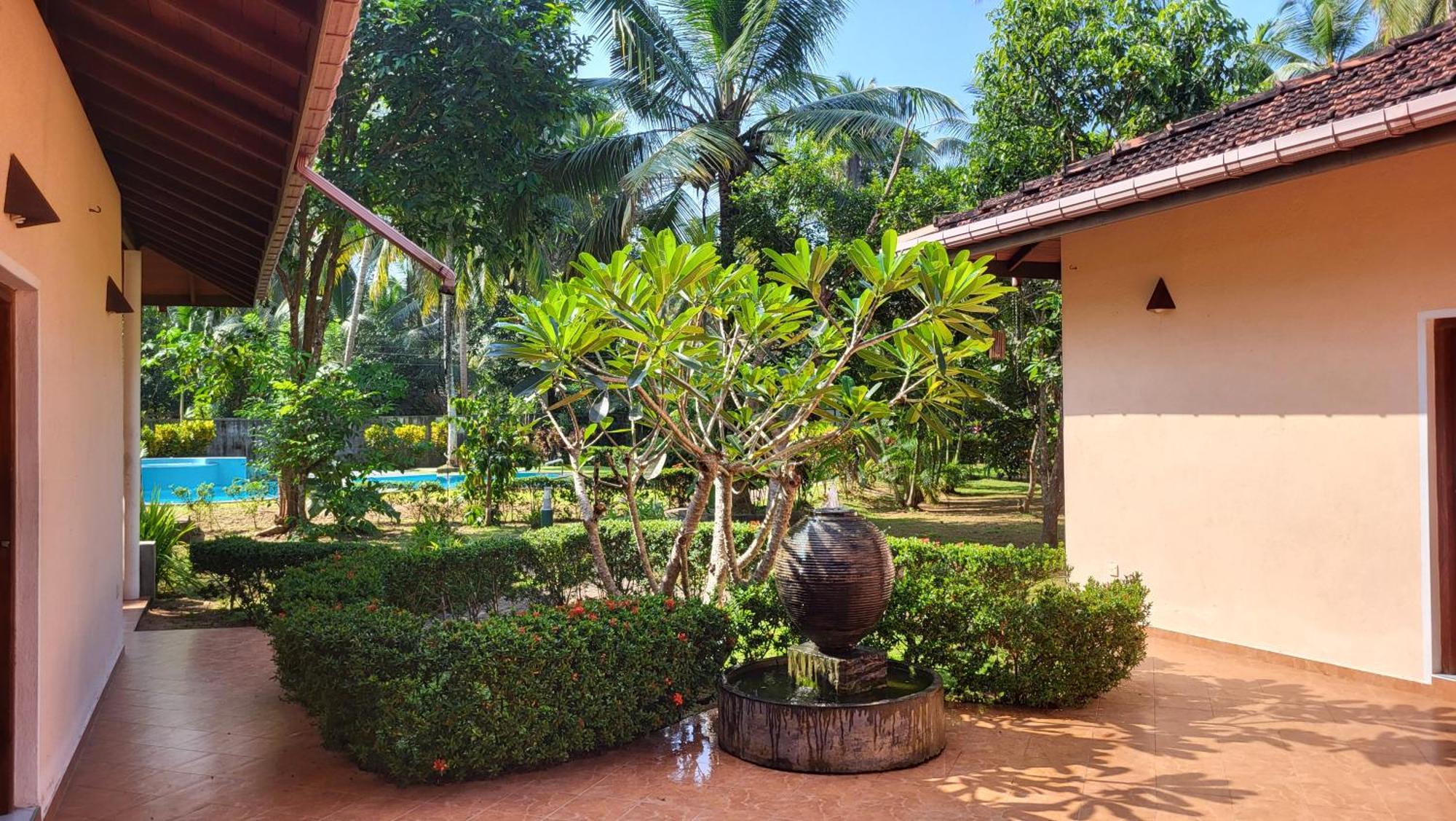 King Coconut Lodge Habaraduwa Central Εξωτερικό φωτογραφία