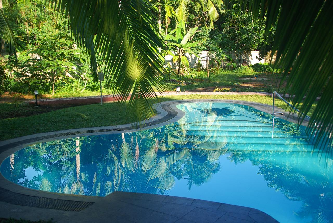 King Coconut Lodge Habaraduwa Central Εξωτερικό φωτογραφία